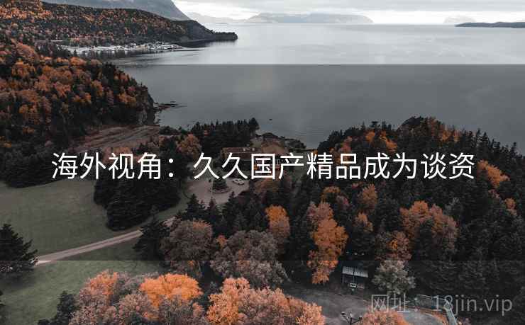 海外视角:久久国产精品成为谈资 海外视角:久久国产精品成为谈资